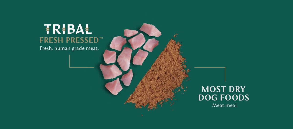 Tribal Fresh Pressed is made with fresh meat, shown next to the meat meal used in most dry dog foods