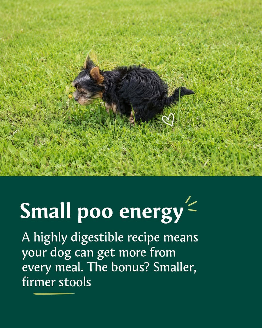 Small poo energy: a highly digestible recipe means your dog can get more from every meal, with smaller, firmer stools