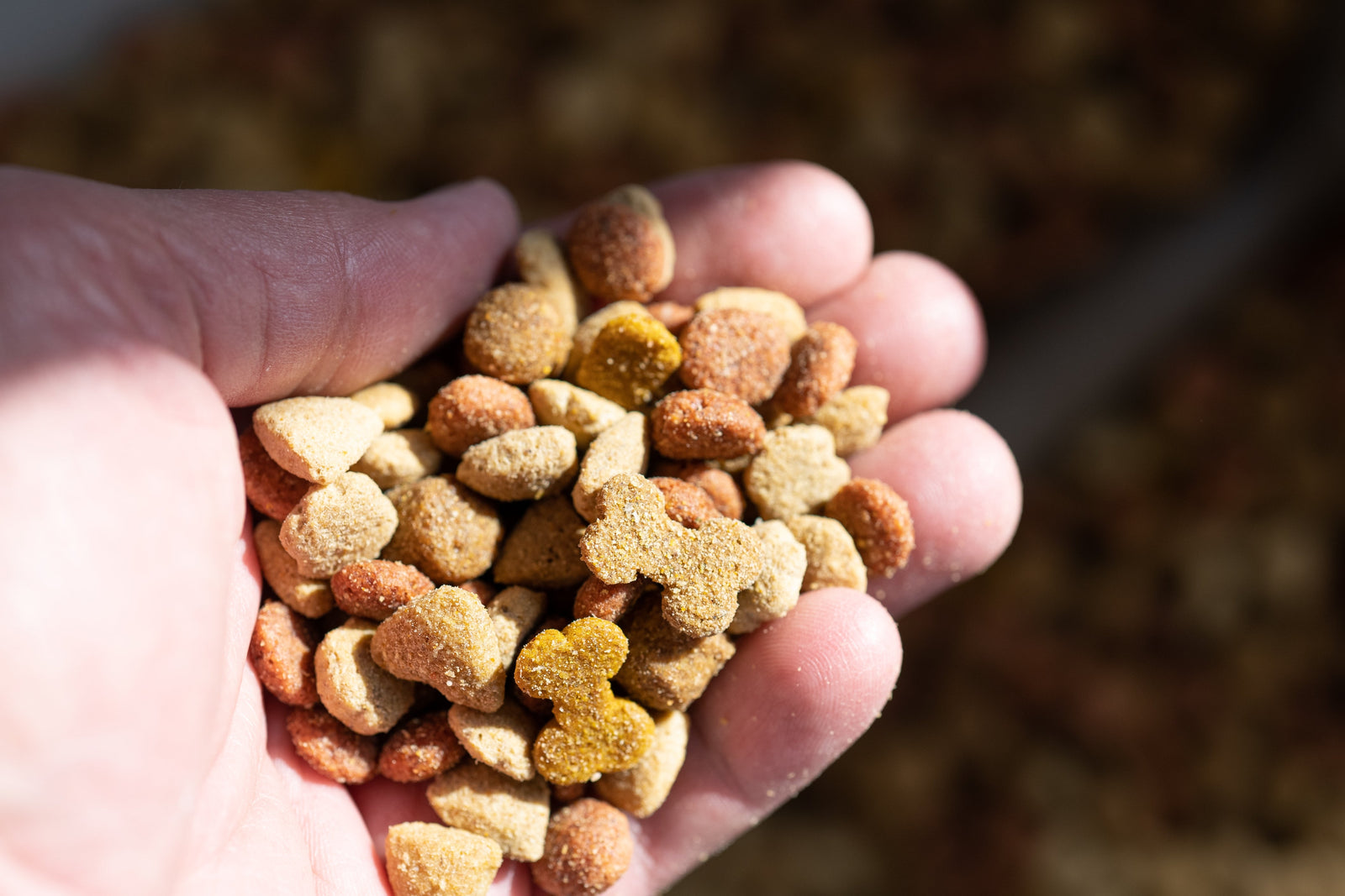 Close up of dry dog food kibble | Petshop Near Me