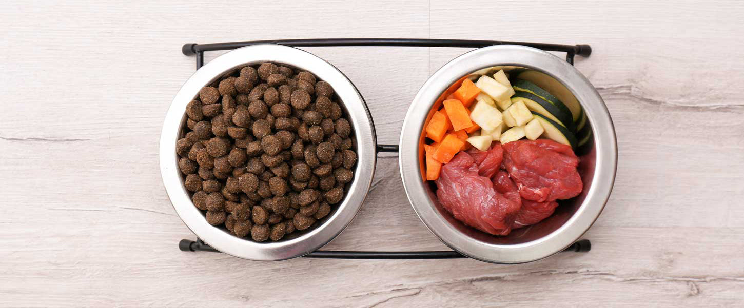 Bowl of dry dog food beside a measuring scoop | Petshop Near Me