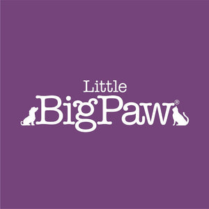 Little Big Paw