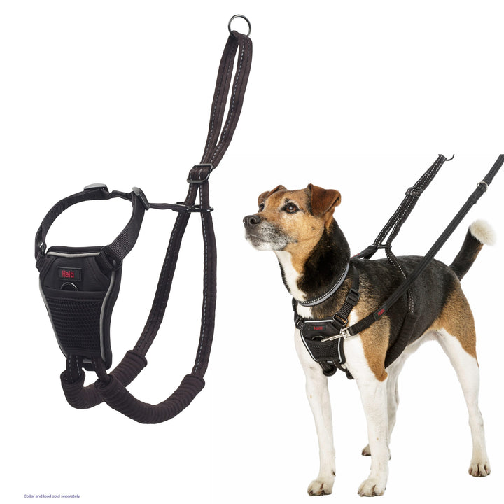 HALTI HARNESS SML