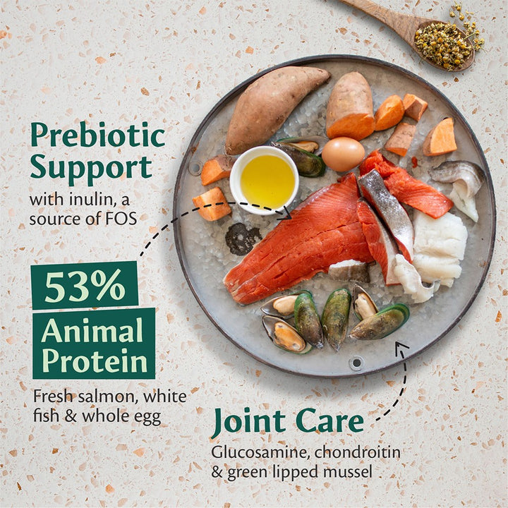 Tribal Fresh Pressed Adult Salmon 12kg, view 3