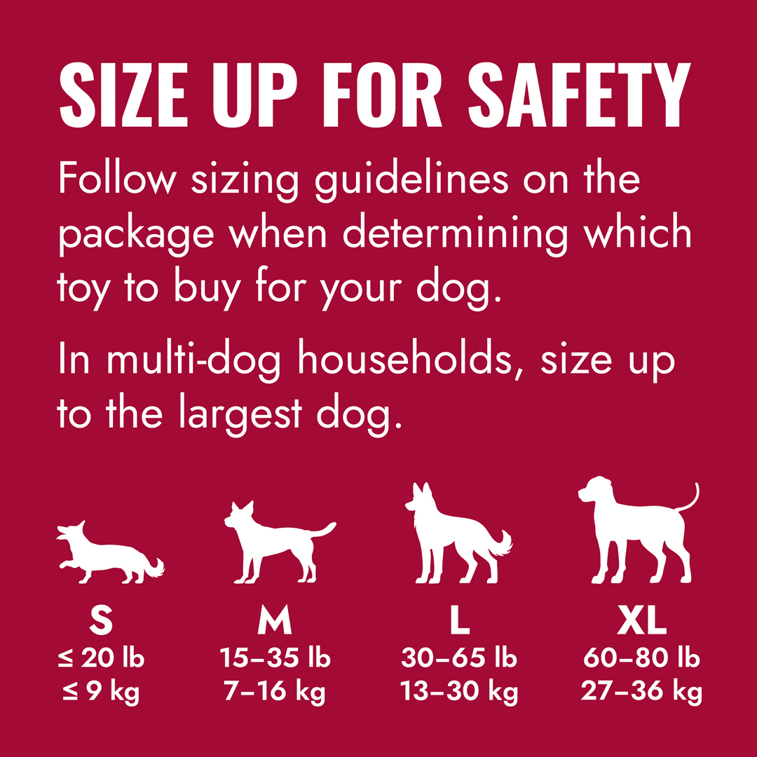KONG Goodie Bone Small Dog Chew Toy, how to use