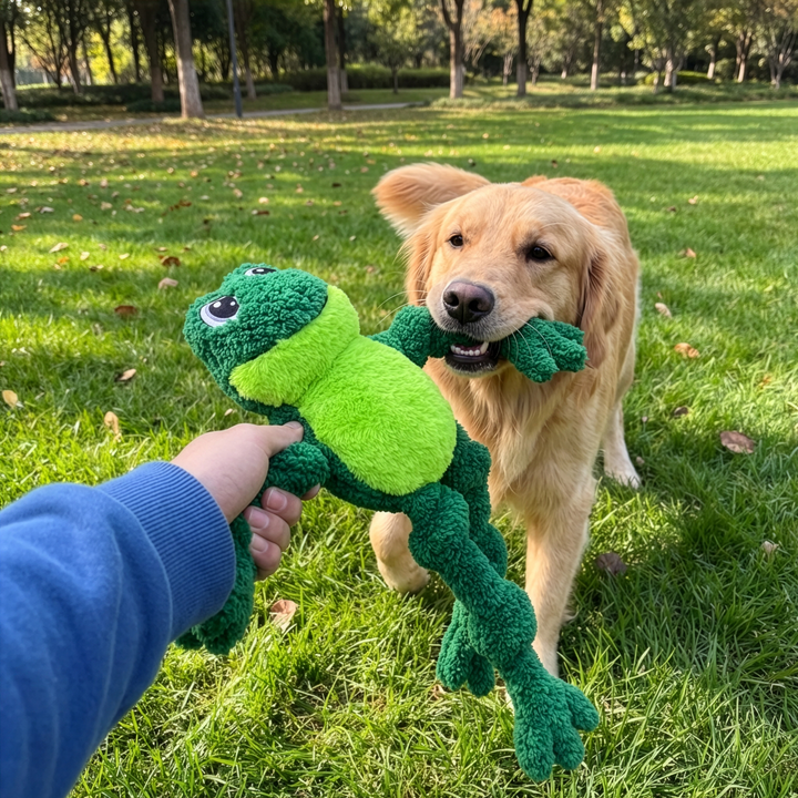 KONG Knots Frog Large/XL, in use