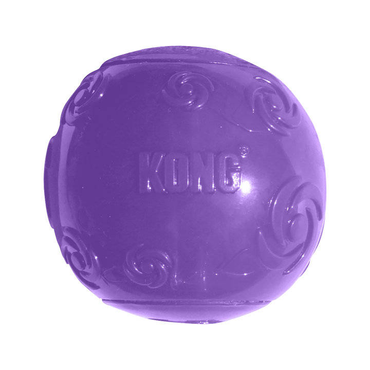 KONG Medium Squeezz Ball