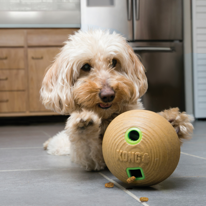 KONG Bamboo Feeder Ball Medium, in use