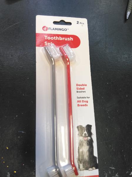 Flamingo Tooth Brush Set