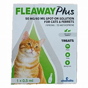Fleaway Plus Spot On For Cats &amp; Ferrets