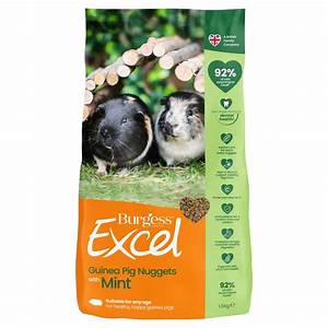 Burgess Excel Mint Guinea Pig 1.5kg 