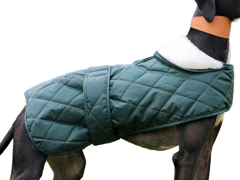 Ancol Quilted Hound Coat 53cm (Dog) 