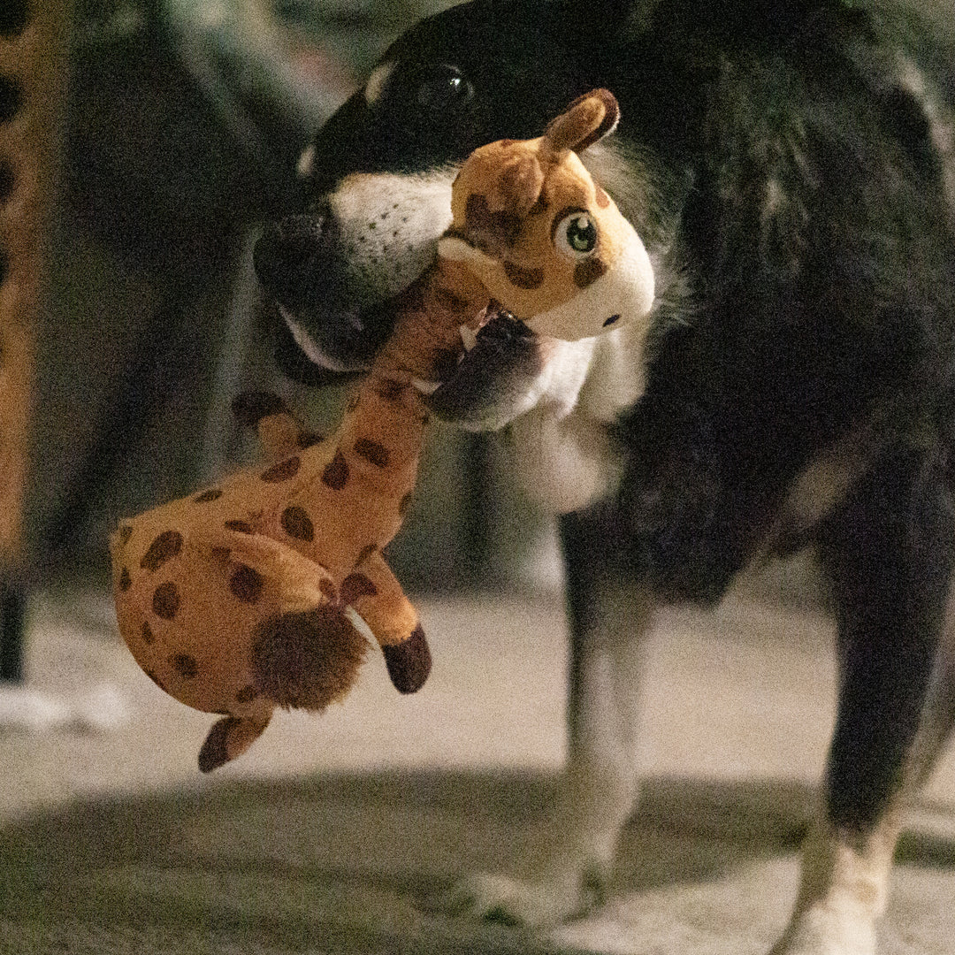 KONG Shakers Bobz Medium Giraffe, in use