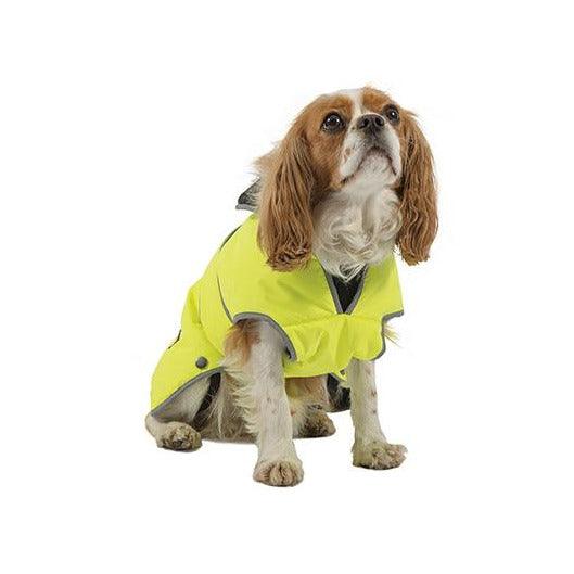 Ancol Stormguard Coat Hi-Vis Small (Dog) 