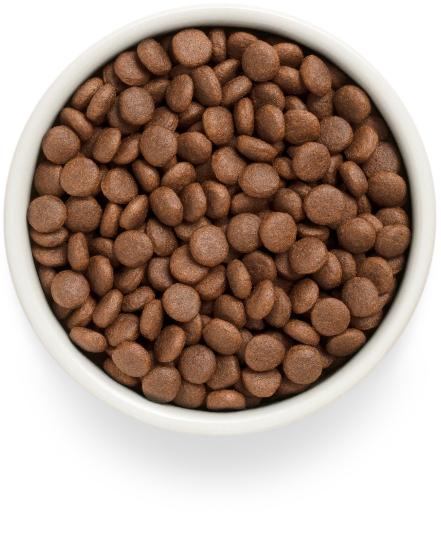 Grandorf Grain-Free Medium and Maxi Fresh Salmon 1kg, view 3