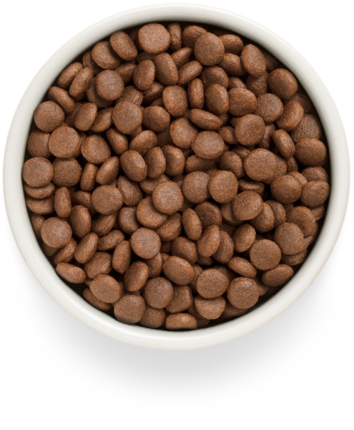 Grandorf Grain-Free Medium and Maxi Fresh Salmon 1kg, view 3