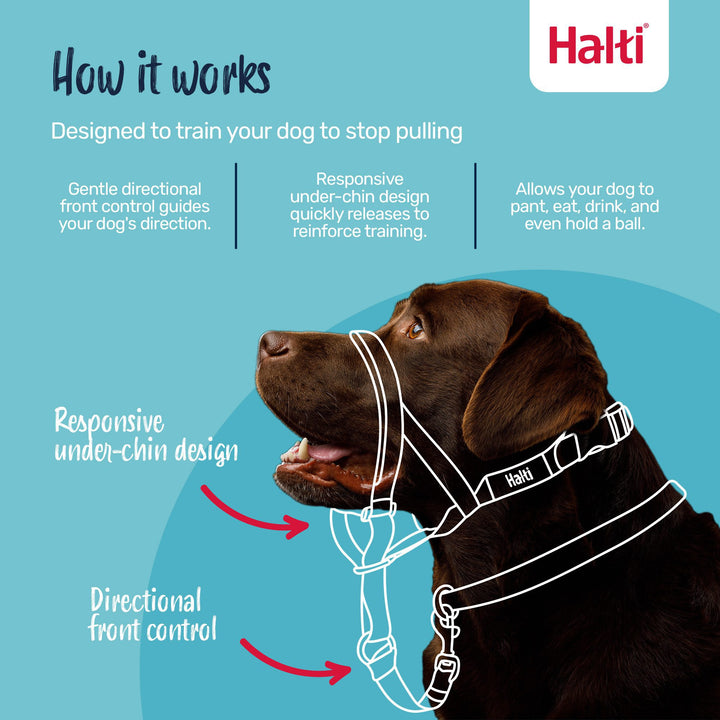 Halti Headcollar Size 3 Black, view 3