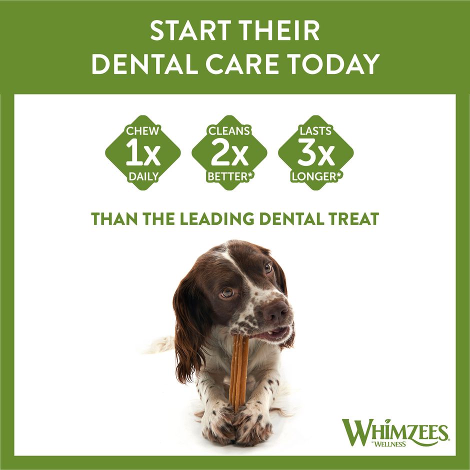 Whimzees Stix Natural Daily Dental Treats Small, for dogs, alternative view
