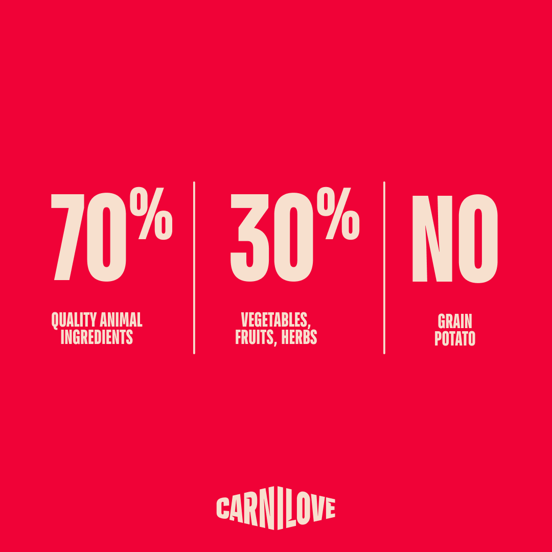 Carnilove Adult Dog Salmon and Turkey 12Kg, view 4