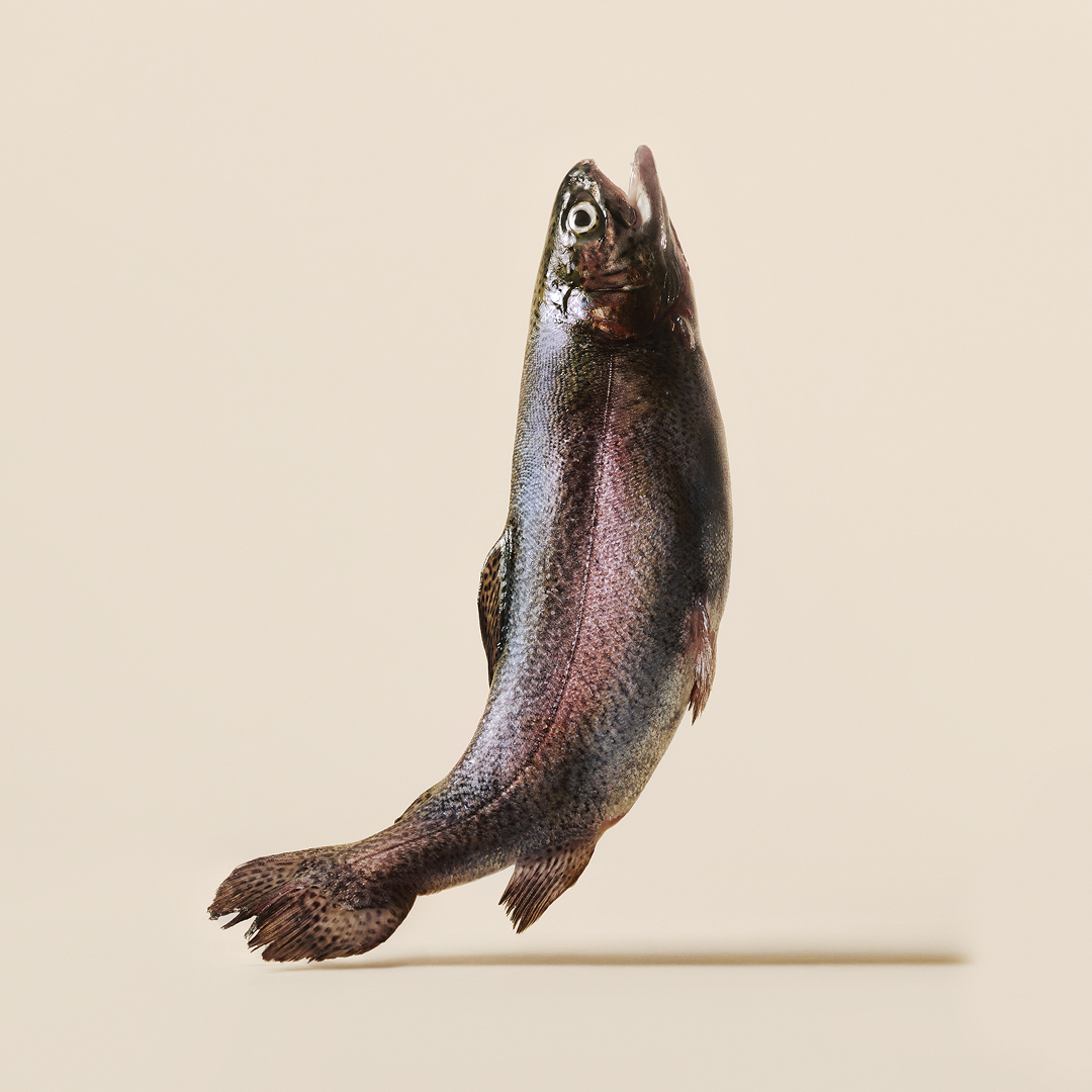 Carnilove Trout and Dill Soft Treat 200g, view 2