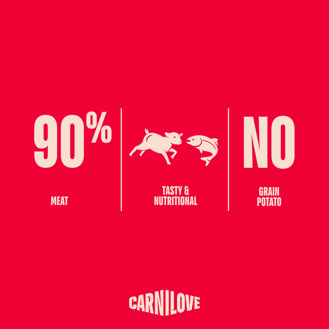 Carnilove Jerky Lamb With Salmon 100g, view 3