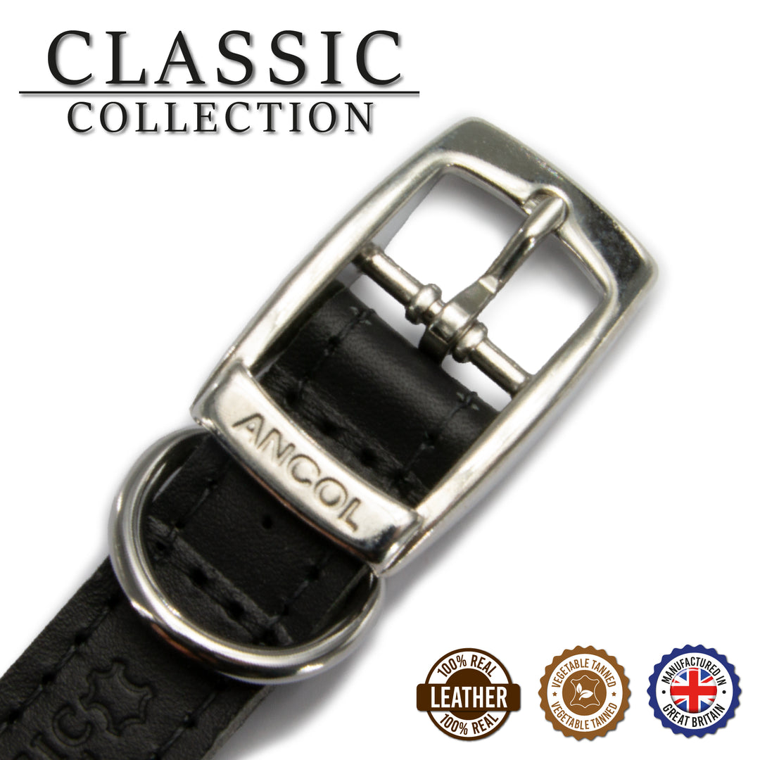 Ancol Sewn Studded Collar Black 36cm Size 2, view 2