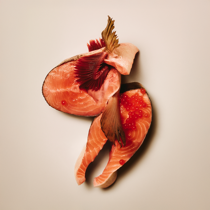 Carnilove Puppy Salmon and Turkey 400g, view 2
