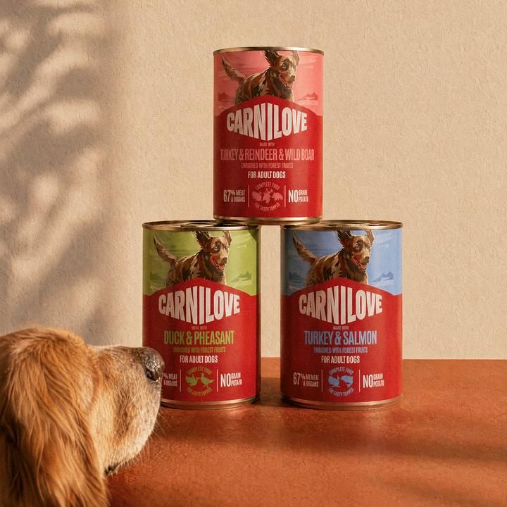 Carnilove Puppy Salmon and Turkey 400g, view 6