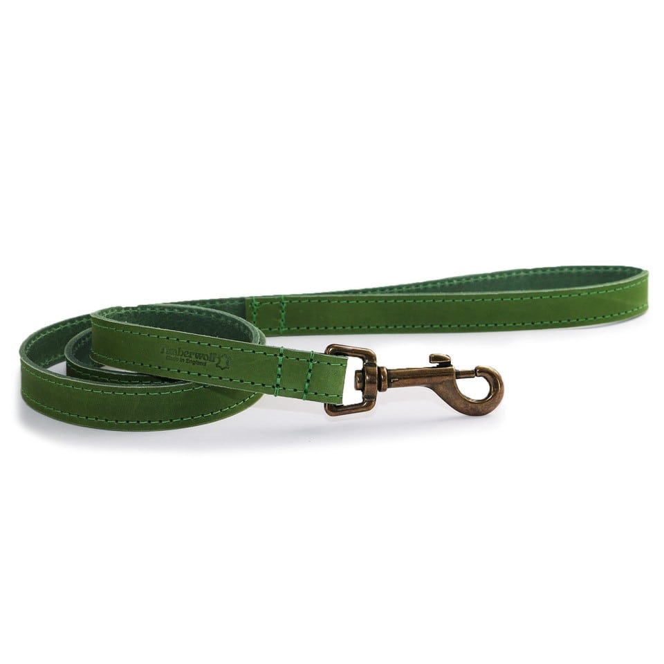 Ancol Timberwolf Leather Lead Green 1MX19mm