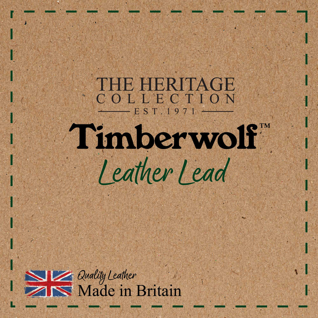 Ancol Timberwolf Leather Lead Green 1MX19mm, view 6