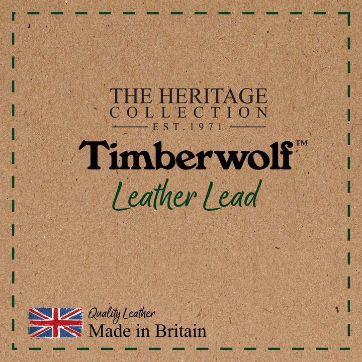 Ancol Timberwolf Leather Lead Green 1MX19mm, view 6