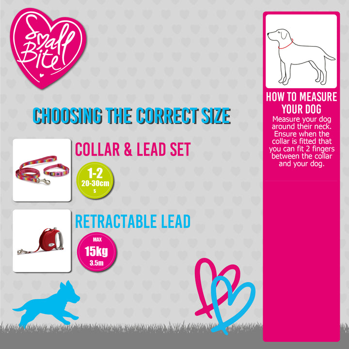 Ancol Small Bite Stars Puppy Collar and Lead Blue, view 3