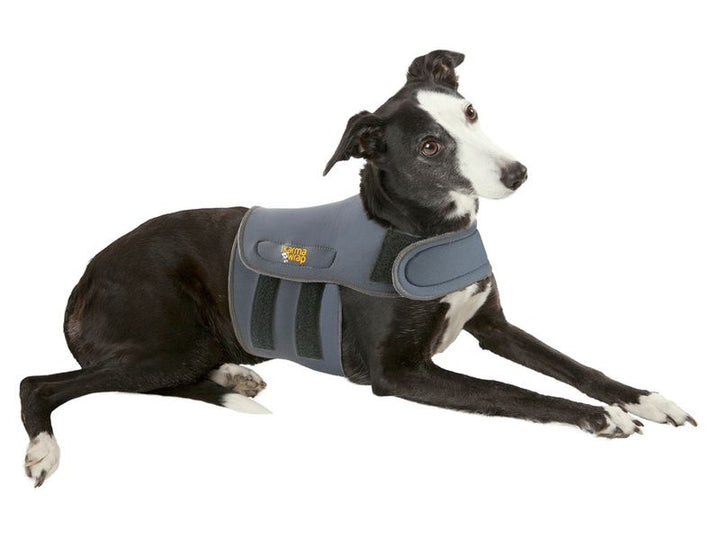 Petlife Karmawrap Medium Dog 56-71CM 