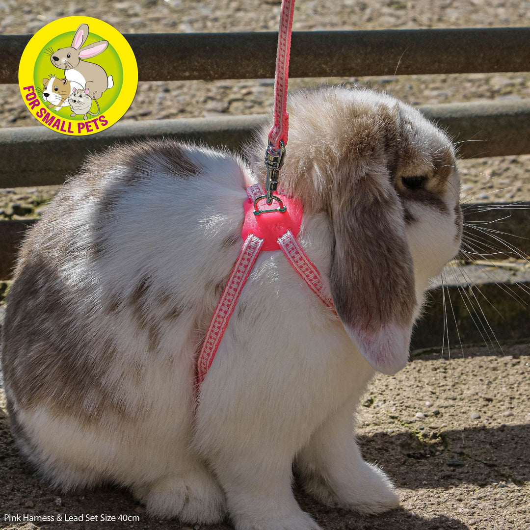 Ancol Rabbit Harness and Lead Set Pink, view 2