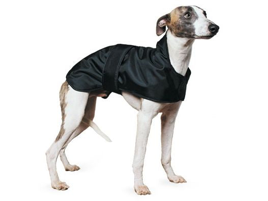 Ancol Whippet Coat Black 43cm (Dog) 