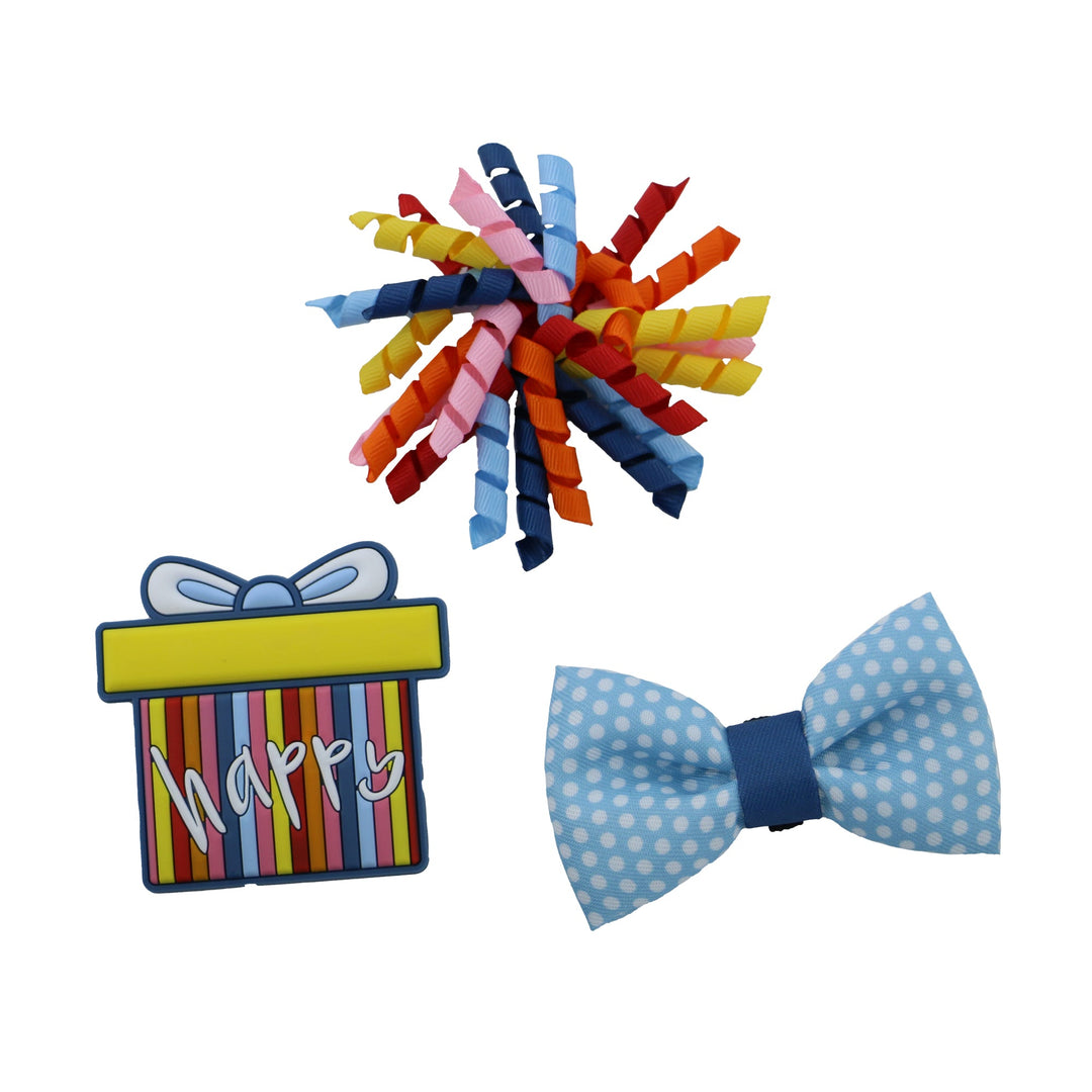 Ancol Pawty Time present accessory set for dogs