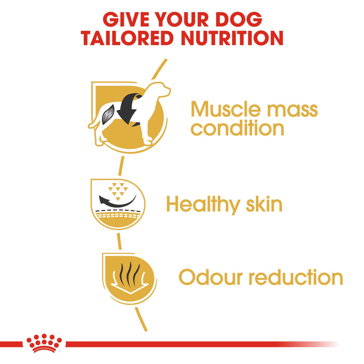 Royal Canin French Bulldog 3kg, view 4