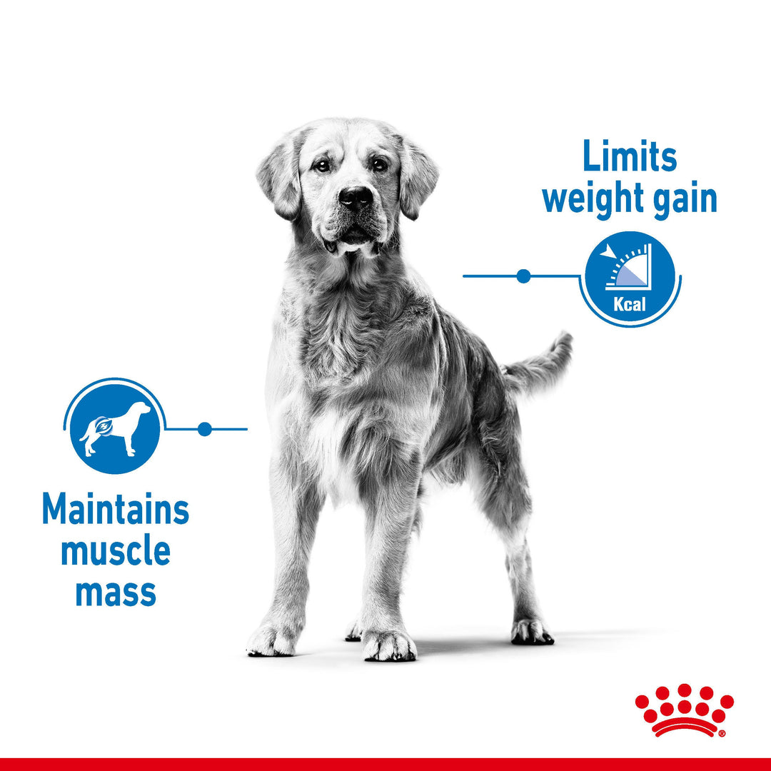 Royal Canin Dog Adult Maxi Light 12kg, view 2