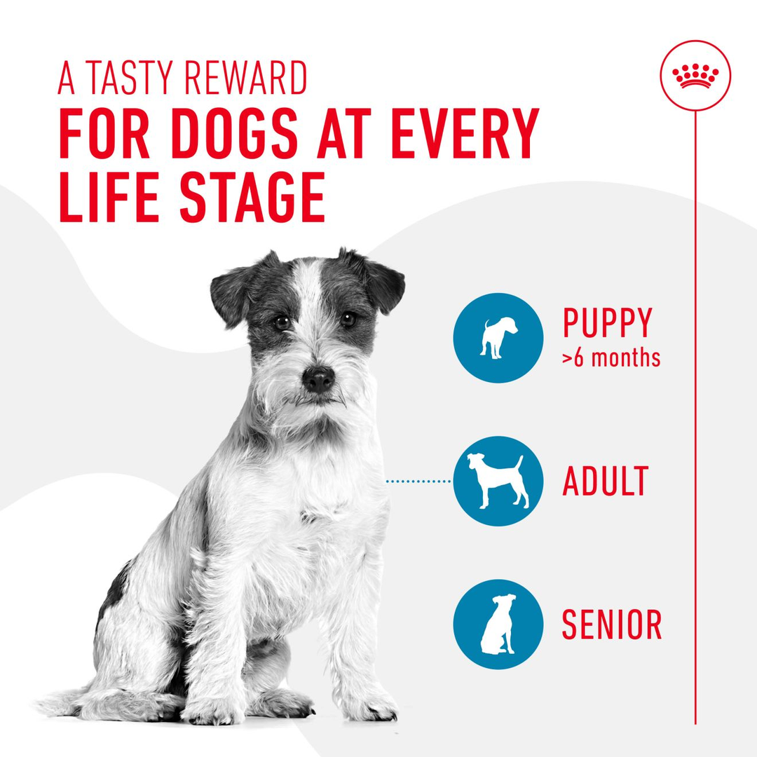 Royal Canin Training Treats 110g, view 3