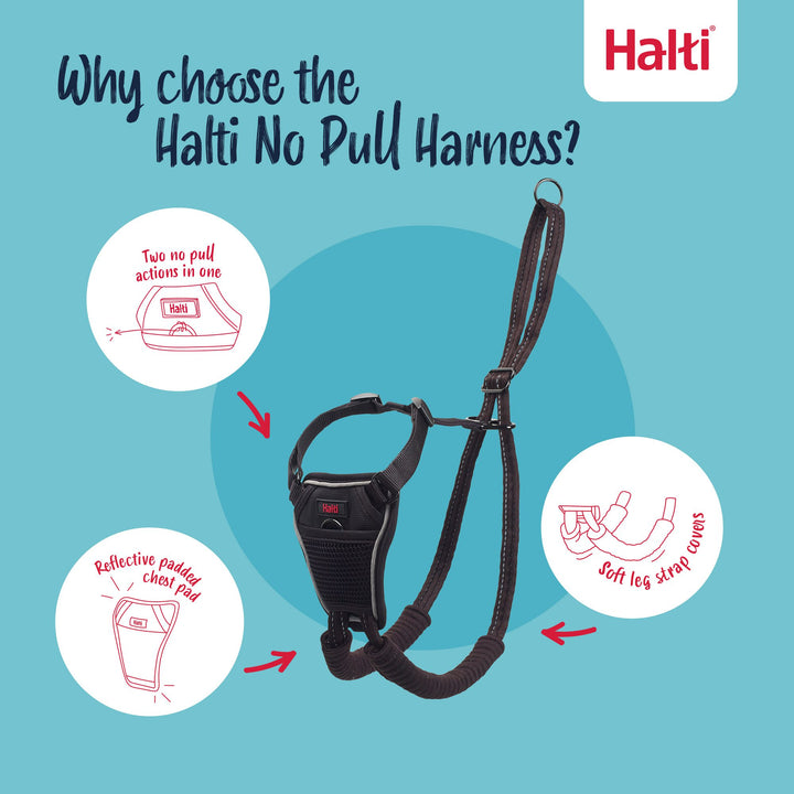 HALTI HARNESS SML, view 2