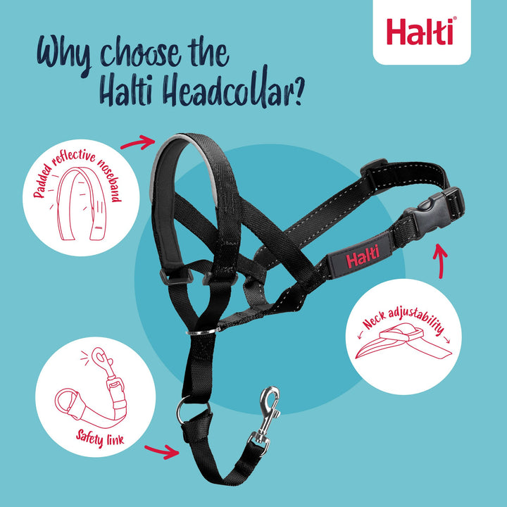 Halti Headcollar Size 3 Black, view 2