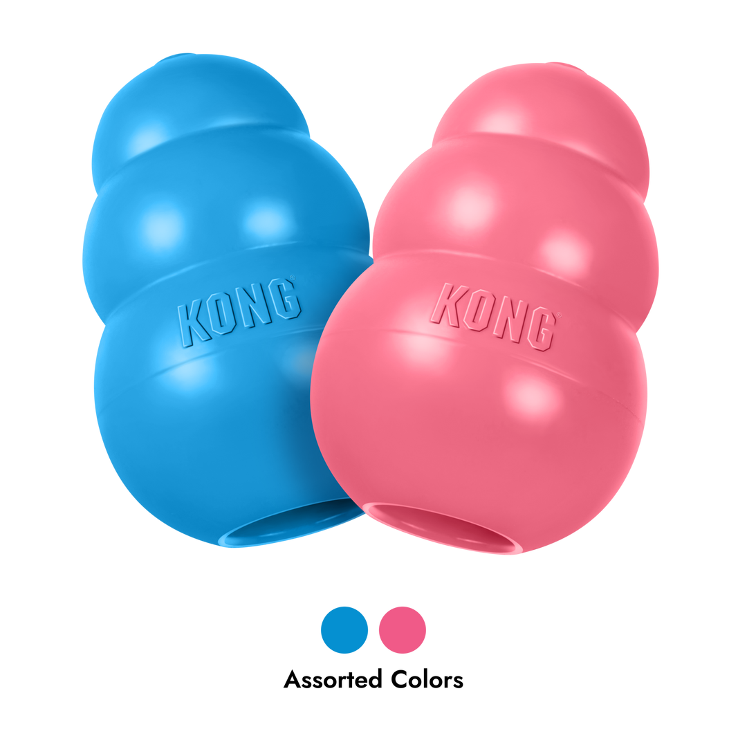 KONG Puppy Medium Pink/Blue, assorted colours