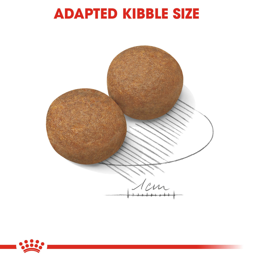 Royal Canin Maxi Adult 12kg, view 5