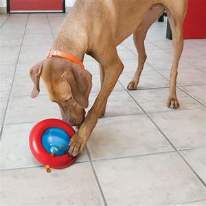 KONG Puppy Gyro Assorted Small