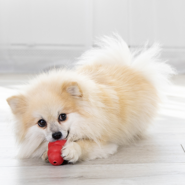 KONG Classic Toy Red - Small, in use