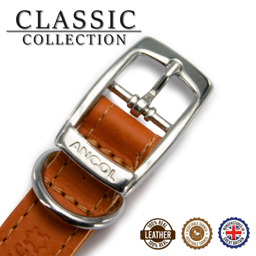 Ancol Sewn Lined Collar Tan 36cm Size 2 (Dog) 