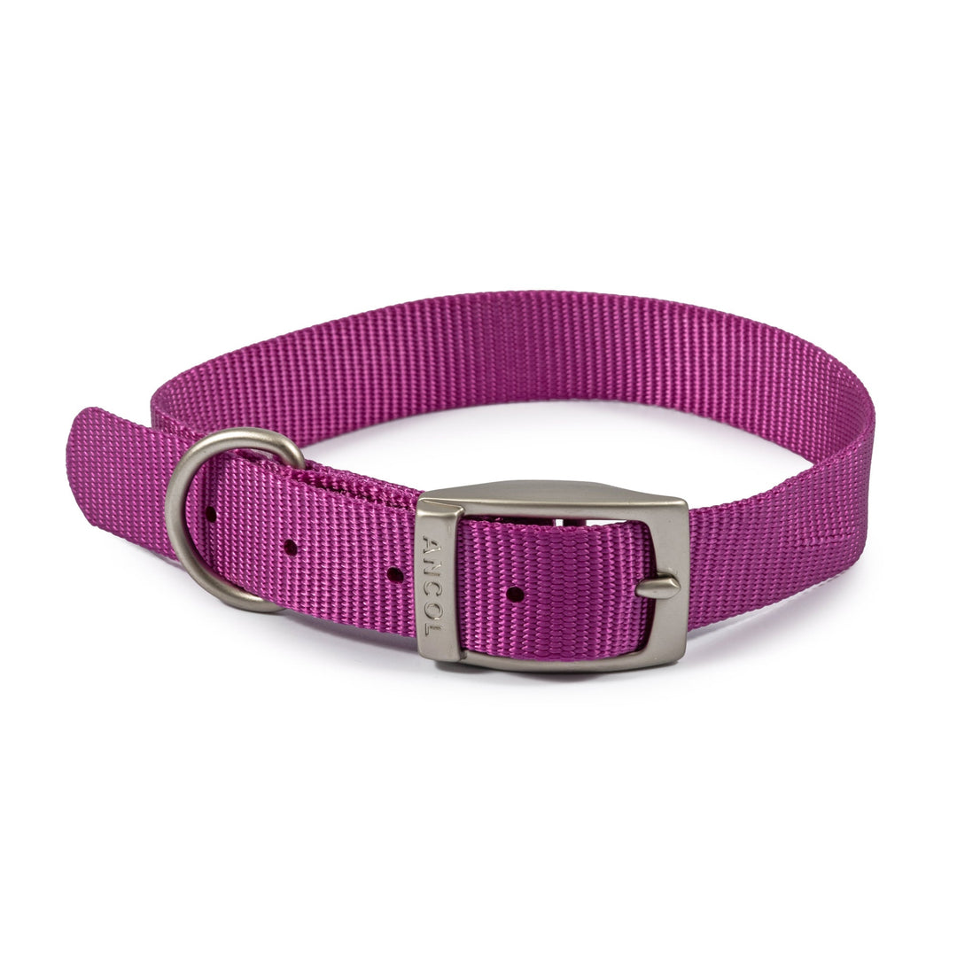 Ancol Viva purple nylon dog collar, 46cm size 4
