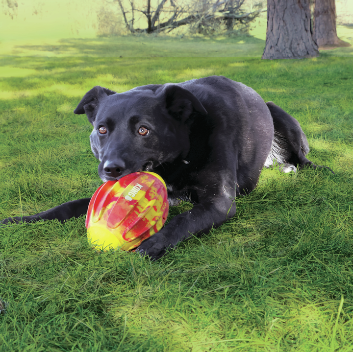 KONG Flexball Sport Football Medium, in use