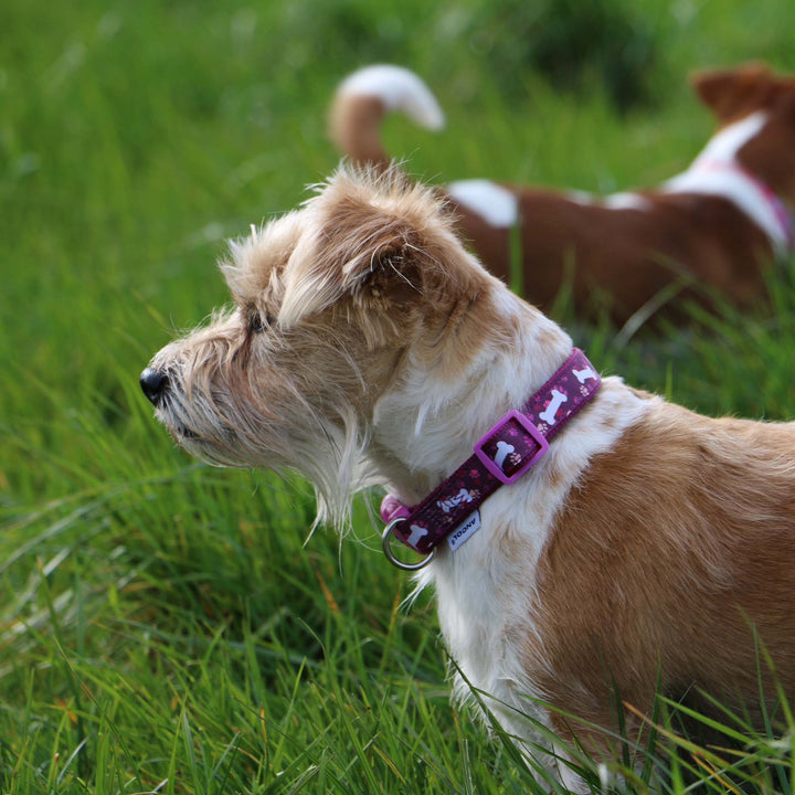 Ancol Purple Bone Nylon Lead 19MMX1M, view 4