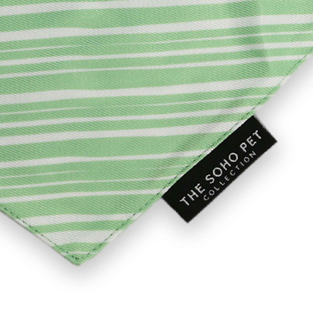 Ancol Soho Bandana Stripe/Leafs 2 pack, view 4
