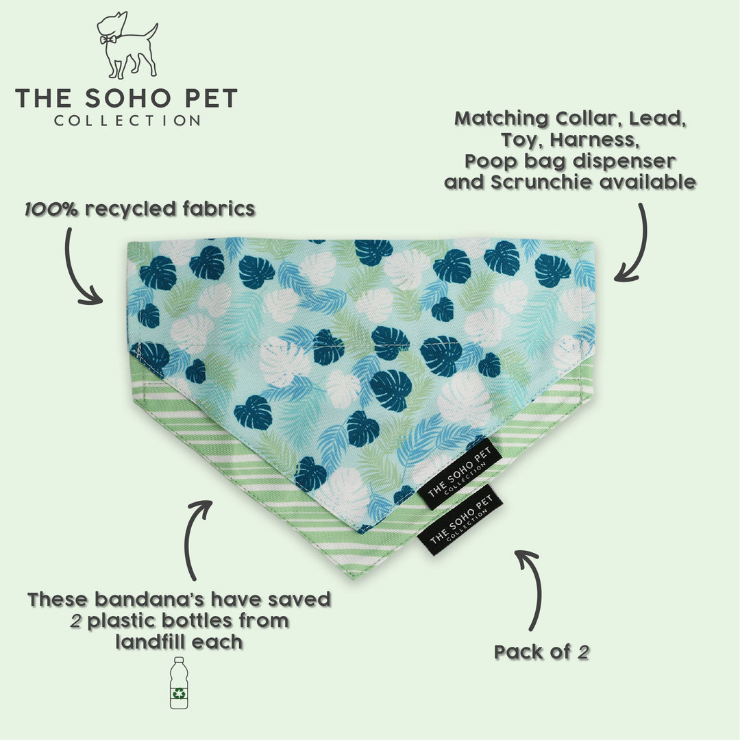 Ancol Soho dog bandana two pack in stripe and leaf print